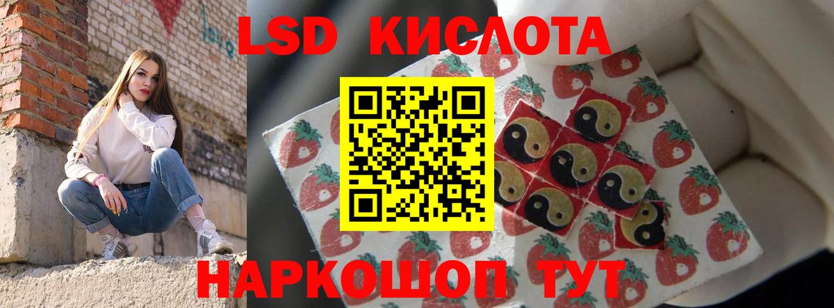 Лсд 25 экстази ecstasy  Лсд 25 экстази ecstasy  Медногорск  Вход с VPN 