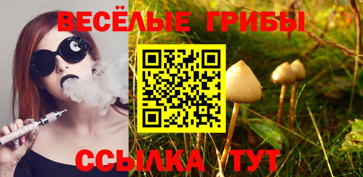 наркошоп  Вход с VPN  Медногорск  Галлюциногенные грибы прущие грибы 