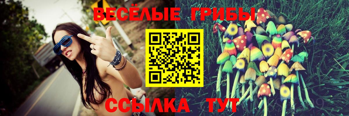 Галлюциногенные грибы GOLDEN TEACHER Медногорск